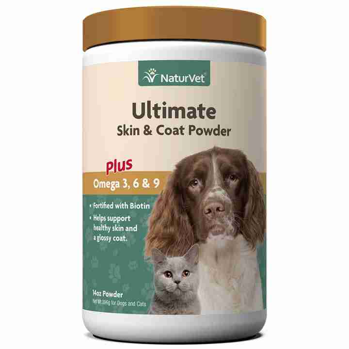 Best Pet Groomer